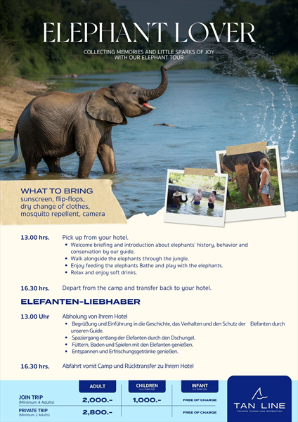 Image Alternative text