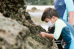 MEET MARINE LIFE BY SEAPIENS CAMP KHAO LAK (FOR 4-12 YEARS OLD)