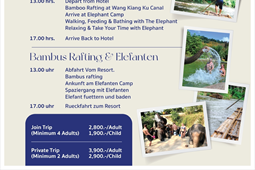 Bamboo rafting & elephant (Join tour)