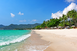 One Way Transfer <br/>Hotel to Chaweng Beach or Central Festival Samui or Tesco Lotus Chanweng