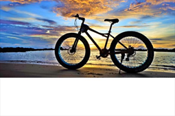 Fat Bike on Beach (Off road) : For 8 Hours