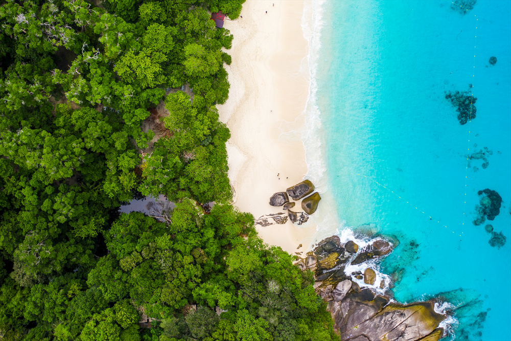 Image Alternative text